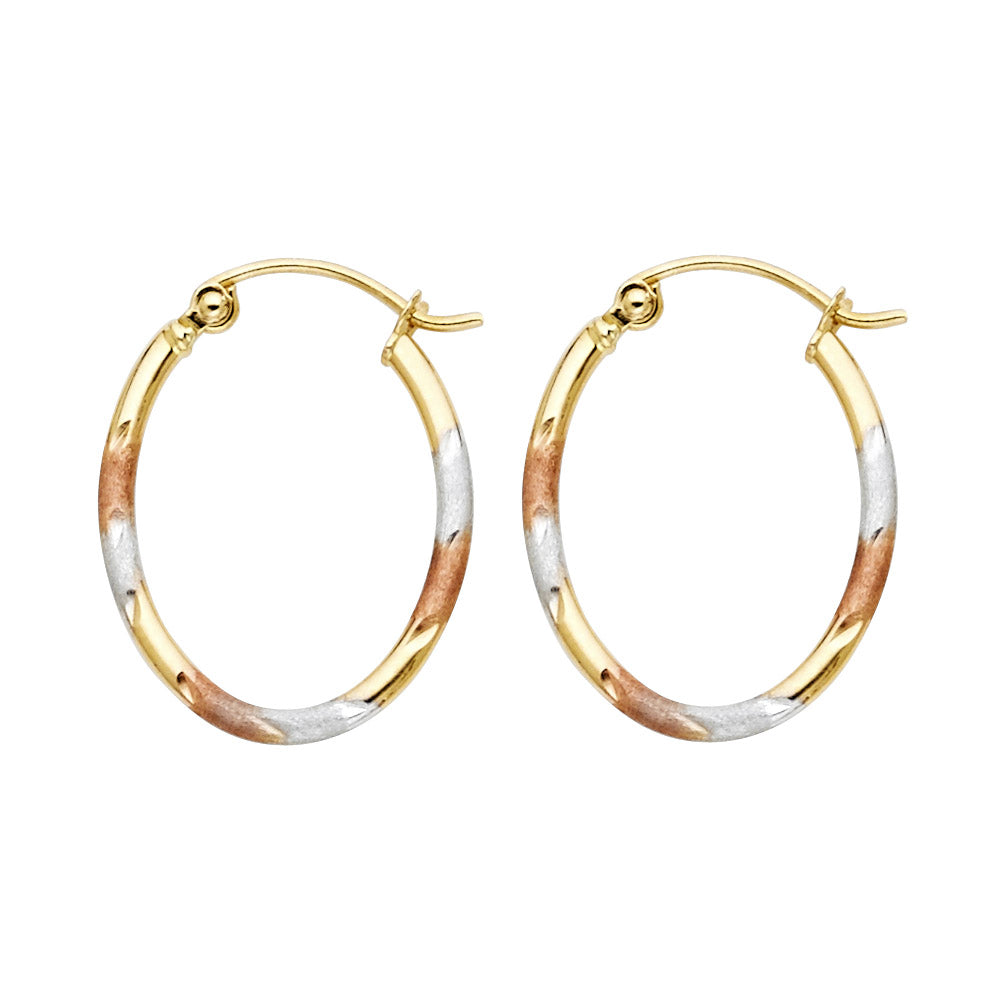 Small Tri-Colored Oval Hoop
